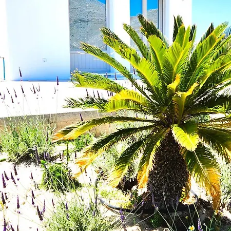 아파트 Hayal Santorini Emporio (Santorini)