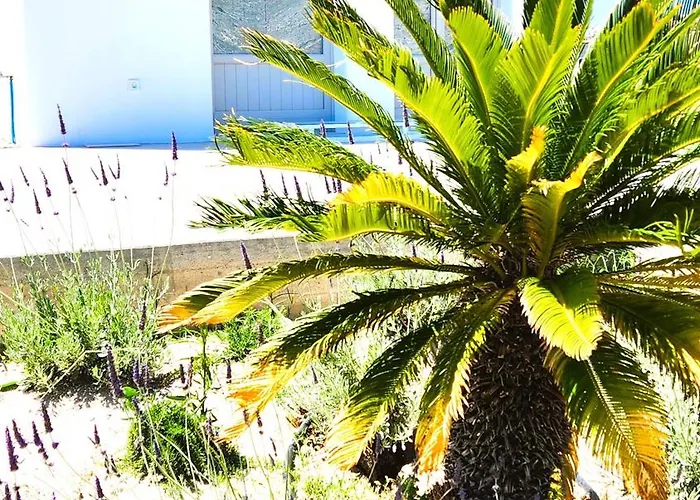 公寓 Hayal Santorini Emporio (Santorini)